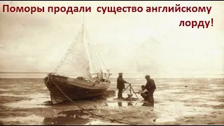 Поморы Архангельска столкнулись со странной тварью в море