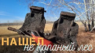 УДАЧА! НАШЁЛ НЕ КОПАННЫЙ ЛЕС В ПОЛЕ