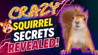 You'll Go Nuts Over These 🥜 10 Crazy Squirrel Facts!