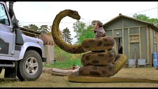 Big Snake Eat Human