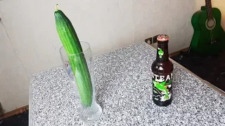 Gurkenbier [STEAMWORKS KILLER CUCUMBER ALE] ¦ Test