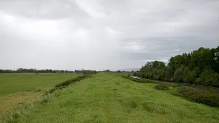 2024-04-20 | Fishing for Swamp Salmon | Sauvie Island, Oregon, USA