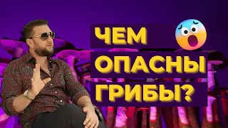 САМОСТОЯТЕЛЬНОЕ УПОТРЕБЛЕНИЕ ГРИБОВ и ПОЧЕМУ ЭТО ОПАСНО  #павелдмитриев #ретрит