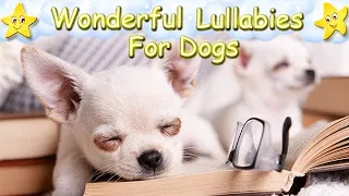 Sleep Music For Dogs Puppies Chihuahuas ♫ Calm Relax Your Dog Dog Music ♥ Lullaby For Pets Animals