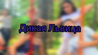 Клип Дикая львица (Леди Диана и Дима)