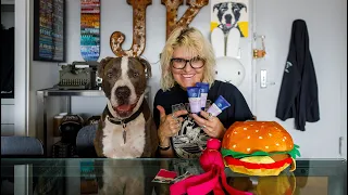 Hudson & Karla Unboxing Gifts From Patreon & Channel Supporter Margaret Hummer