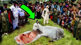 शेर के बच्चे को पाला फि क्या हुआ|Bakri aur sher ke bachche ka ajeeb waqia