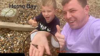 We Find Over 50 Fossil Shark Teeth - Herne Bay | Beltinge | Famous Location Fossil Hunting