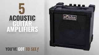 Top 10 Acoustic Guitar Amplifiers [2018]: PALCO Guitar Amplifier with Gain