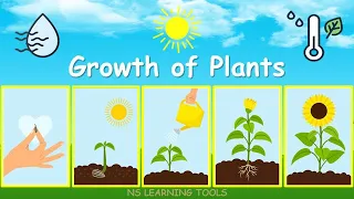 Growth Of Plants, Seed Germination, Plant Growth and Development, Growth Of Plants For Kids, Plants