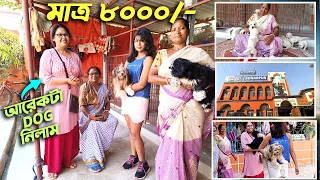 LOW PRICE DOG BREED SELLER IN KOLKATA | DOG BREEDER AT SONARPUR KOLKATA | DOG FOR SELL | DOG PRICE