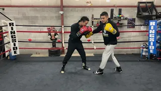 Punching Positions & Angles for BODY SHOTS