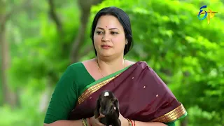 Rangula Ratnam Latest Promo | Episode 283 | Mon-Sat 7:30pm | 12th October 2022 | ETV Telugu