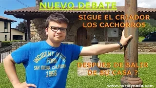 DEBATE   SEGUIMIENTO DE CACHORROS DEL CRIADOR