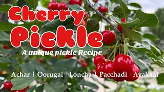 Cherry 🍒 pickle | How to make Pickle | Achar | Oorugai | #pickle #achar #rhubarb #oorugai #cherry