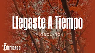 Llegaste a Tiempo - Edificado (VideoLyric)