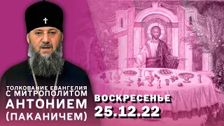 Толкование Евангелия с митр. Антонием (Паканичем). Воскресенье, 25 декабря 2022 года