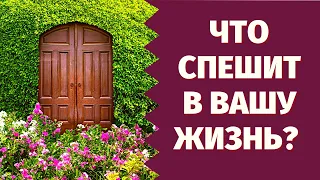 ЧТО СПЕШИТ В ВАШУ ЖИЗНЬ? КАКИЕ СОБЫТИЯ НА ПОРОГЕ? О ЧЕМ ВАМ НАДО ЗНАТЬ НА БЛИЖАЙШИЕ 7 ДНЕЙ?