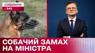 На Дмитра Кулебу напав собака! Що сталося з посадовцем?