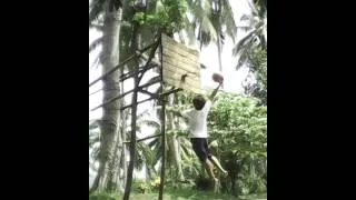 5.4 16 yrs old  boy  can dunk  10ft  basketball ri