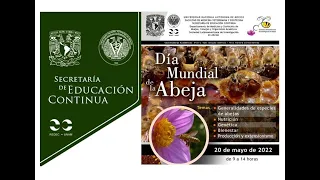 Dia mundial de las abejas