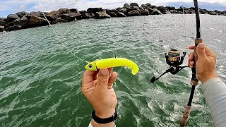 Fishing Jetty Rocks For Whatever Bites! (Big One)