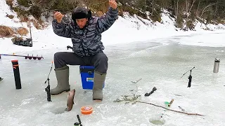 ГОРНАЯ РЫБАЛКА. Хариус проголодался. Ловля хариуса зимой. Русская рыбалка.