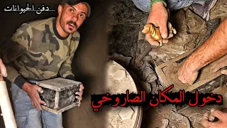 دخلنا لمصنع الحجر الأبيض/ لجمع الحيوانات الذهبية ودفنها _ بأرض الفلاح المحروق!! ( 22 )