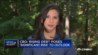 U.S. debt to reach 195% of GDP by 2050: CBO