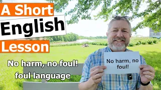 Learn the English Saying  "No harm, no foul!" and the Term "foul language"