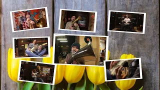 Желтые Тюльпаны кавер - Yellow tulips cover