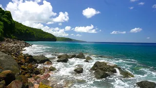 The Relaxing Symphony Of The Ocean Waves Of The Caribbean Sea On A Picturesque Coastline - 4K UHD