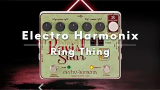The Soul of India - Electro Harmonix Ravish Sitar Demo