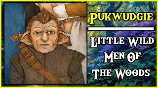 The Mysterious PUKWUDGIE : Little Wild Men Of The Woods  ( Mythical Creatures )