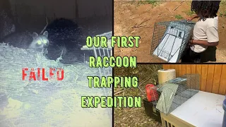 Our Raccoon Trapping Expedition