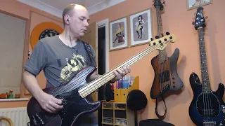 The Go-Go's - Head Over Heels (bass cover)