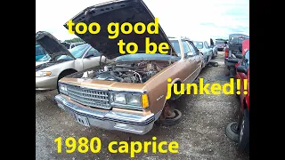 1980 chevrolet caprice classic its way too nice to be in the junkyard!