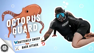 Octopus Guard | Entry from Half Butterfly Guard | Butterfly Sweep | Mount | Back Take