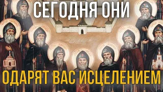 СЕГОДНЯ ОПТИНСКИЕ СТАРЦЫ ОДАРЯТ ВАС ИСЦЕЛЕНИЕМ! Читай скорее эту сильную молитву