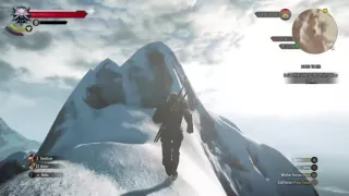 Witcher 3 high jump record.