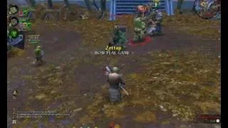 Warhammer online Shaman Gameplay