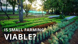 Is Market Gardening Profitable? Making a Living On a Small Farm