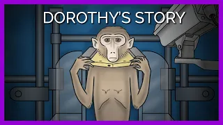 Dorothy, a Mother Tortured at the Washington National Primate Research Center