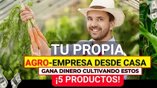 🤑¡ GANA Dinero Hoy Mismo! 5 IDEAS de Negocios PARA CREAR tu EMPRESA con BAJA inversión desde CASA.