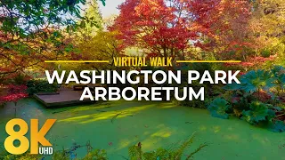 Best Autumn Seattle Attraction in 8K - Nature Walk to See Fall Colors of Washington Park Arboretum