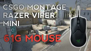 CS:GO with Razer Viper Mini (61g Mouse) | Best Highlights 🖤🖤🖤