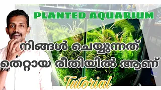 Before doing a planted tank, ഒരു ചെറിയ ഉപദേശം