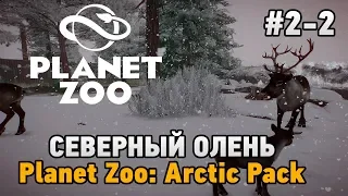 Planet Zoo #2-2 Северный олень (Planet Zoo: Arctic Pack)