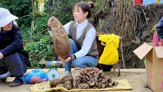 Harvest yams to go to the market to sell, Build two-compartment earthenware stove | Lý Thị Ninh