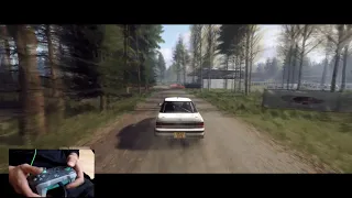 Dirt Rally 2.0 on a Gamepad